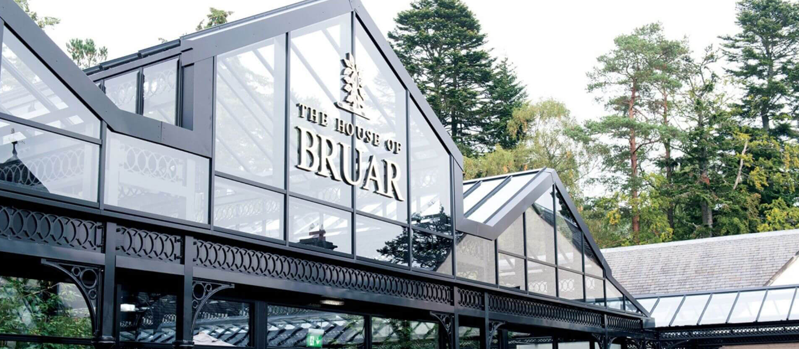 banner image 2