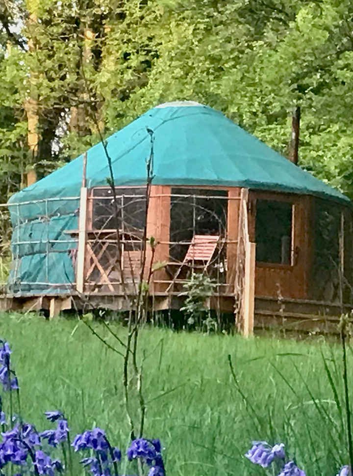 Elder Yurt