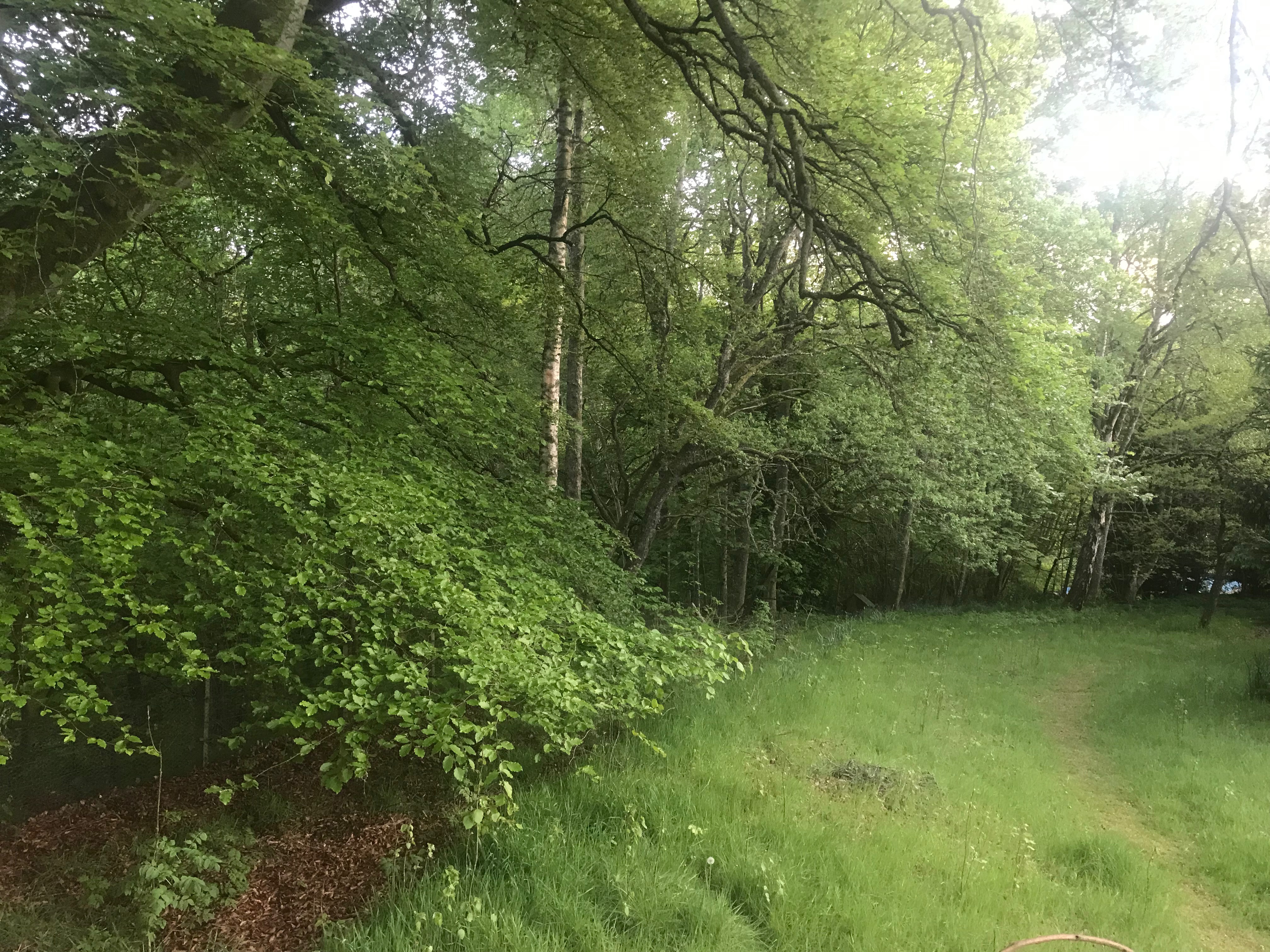 Garden image gallery