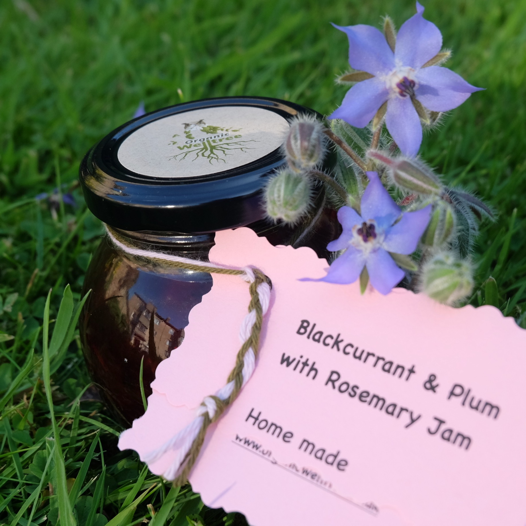 Blackcurrant & Plum with Rosemary (200g)