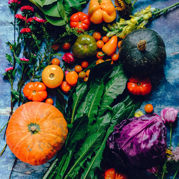 Vegetable Box - Extra Large