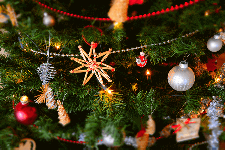 Merry Christmas from Website Success