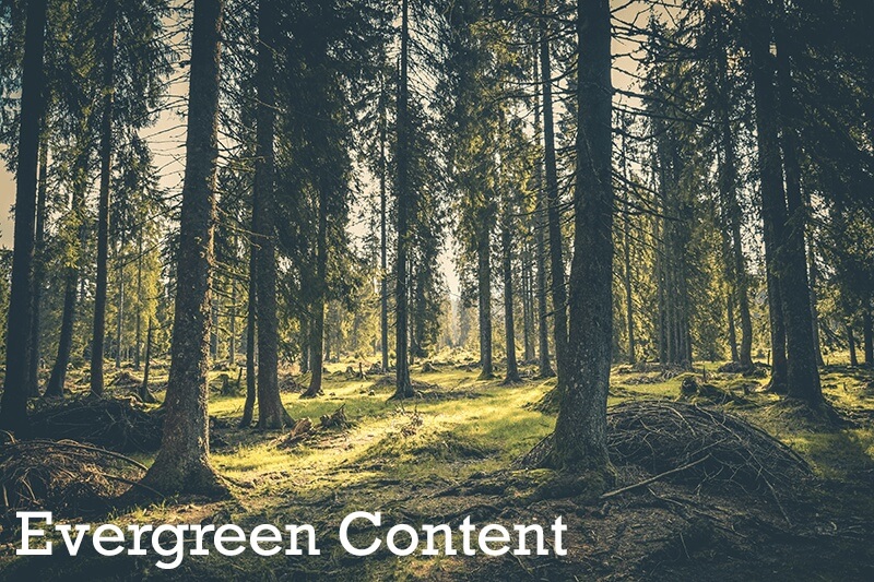 A Quick Guide - Evergreen Content: